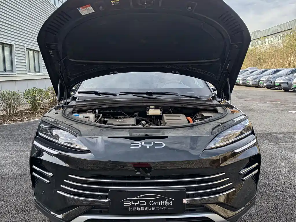 BYD SONGJIANG NEW ENERGY