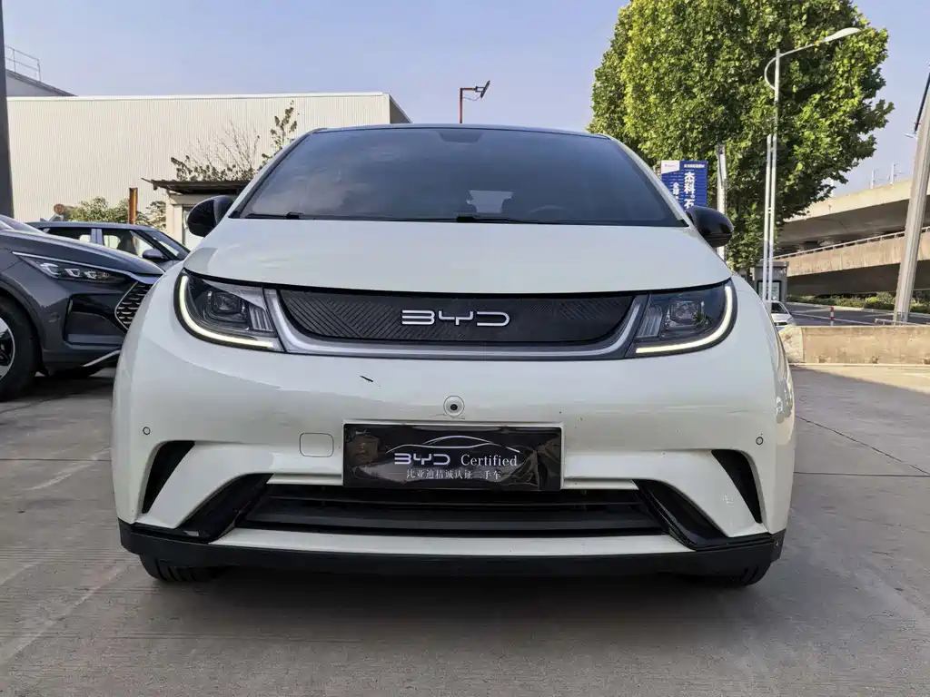 BYD Dolphin — миниатюра 2