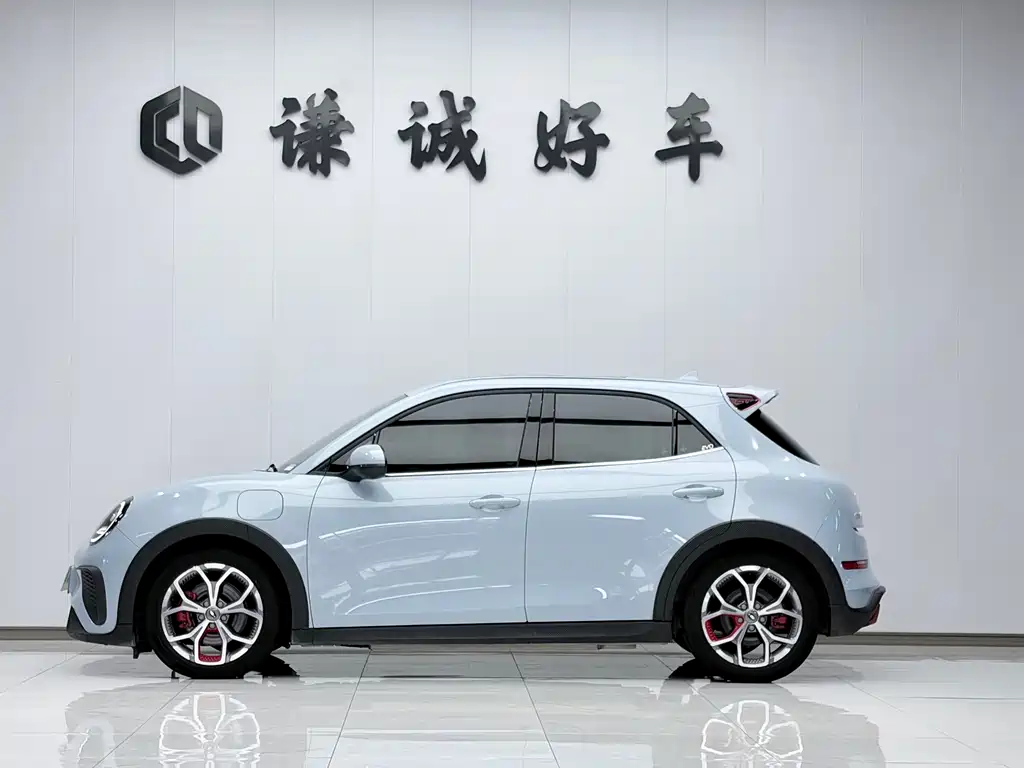 Ora Ora Good Cat GT — миниатюра 3