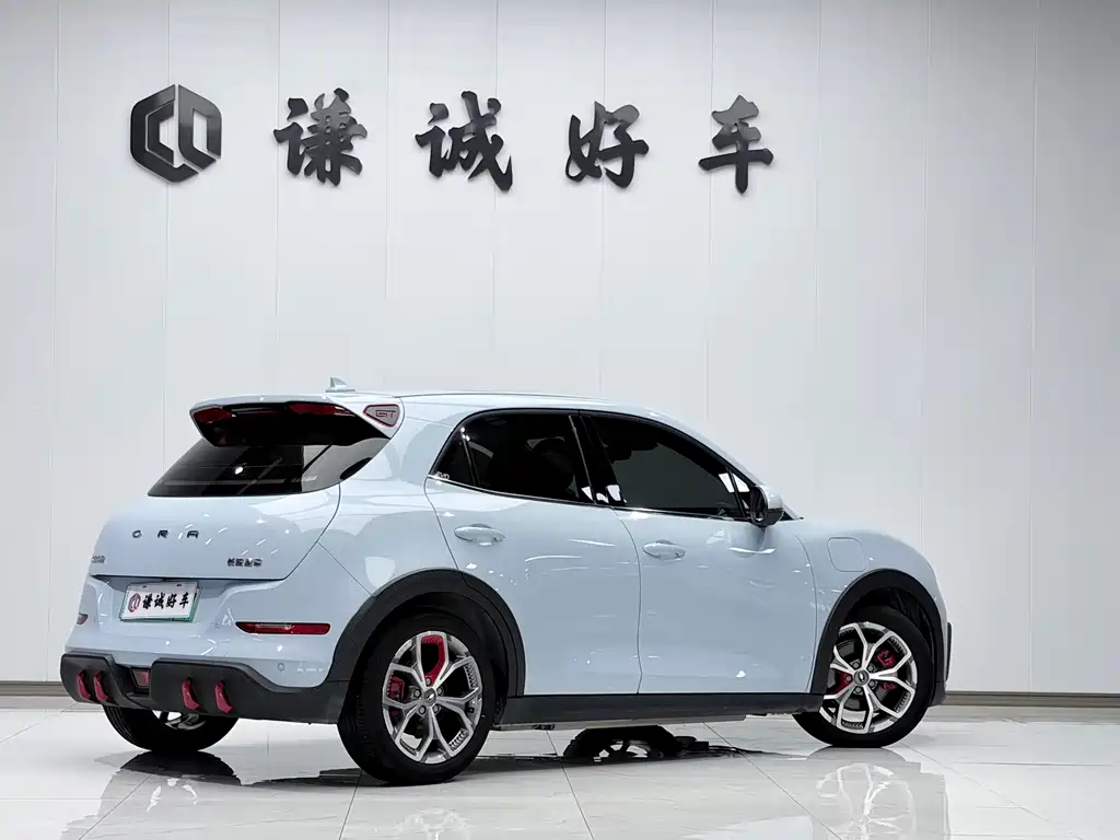 Ora Ora Good Cat GT — миниатюра 6