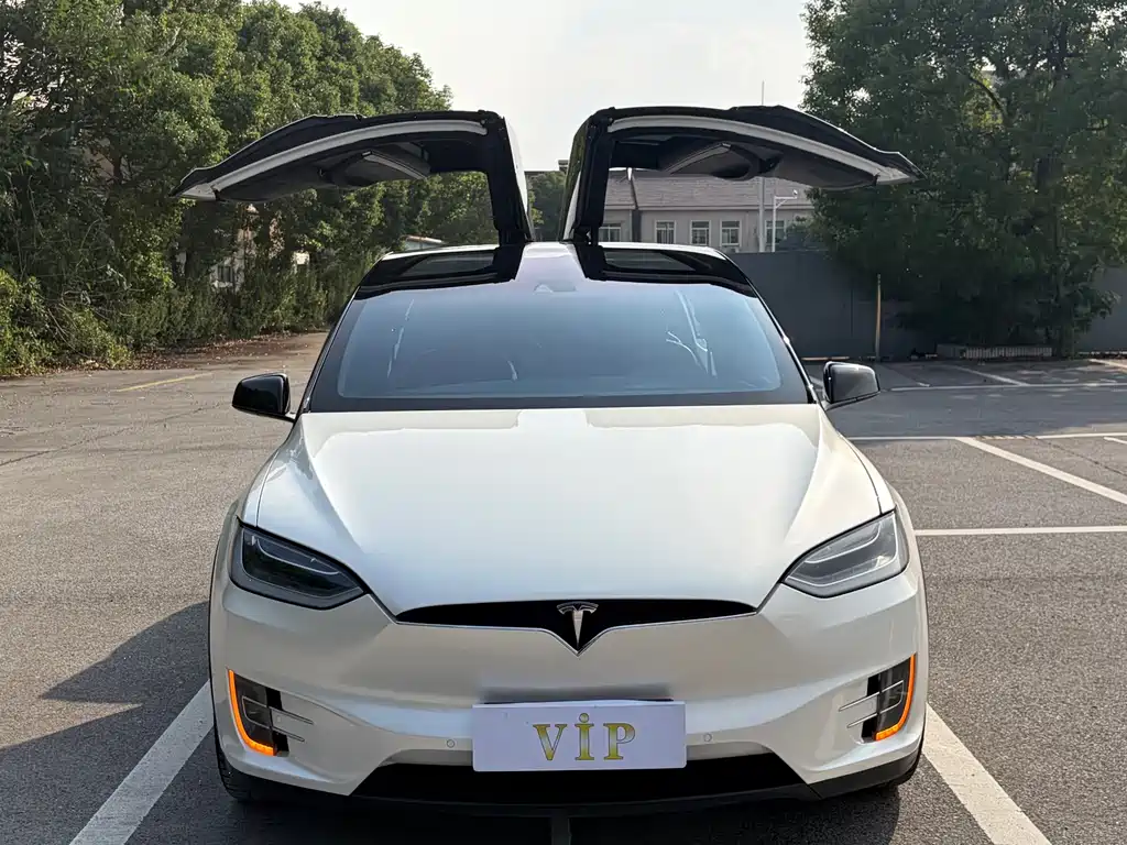 Tesla Model X — миниатюра 2