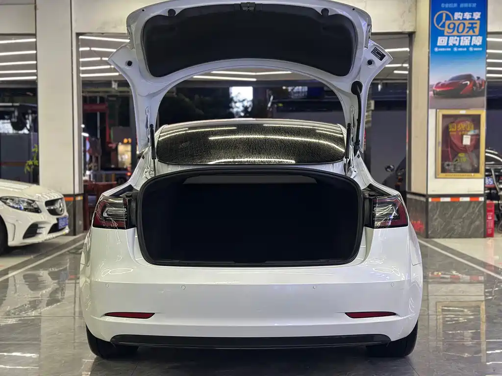 Tesla Model 3 — миниатюра 8