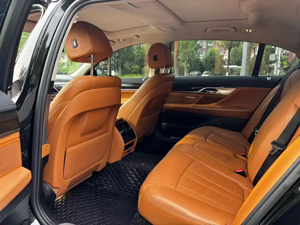 BMW 7 Series 730Li Leading Type, фото 6