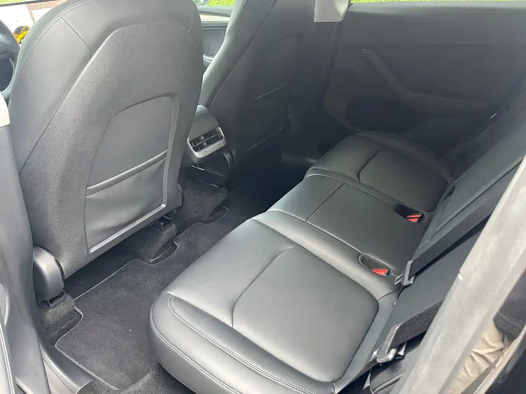 Tesla Model Y — миниатюра 10