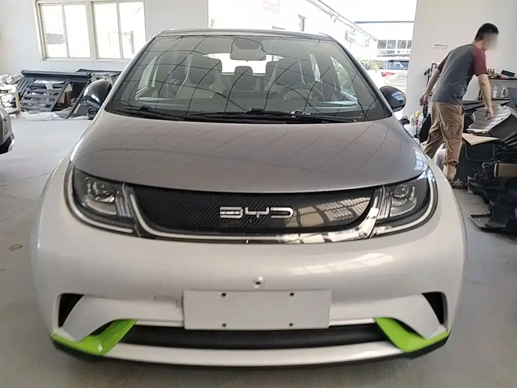 BYD Dolphin 2021 405km Fashion