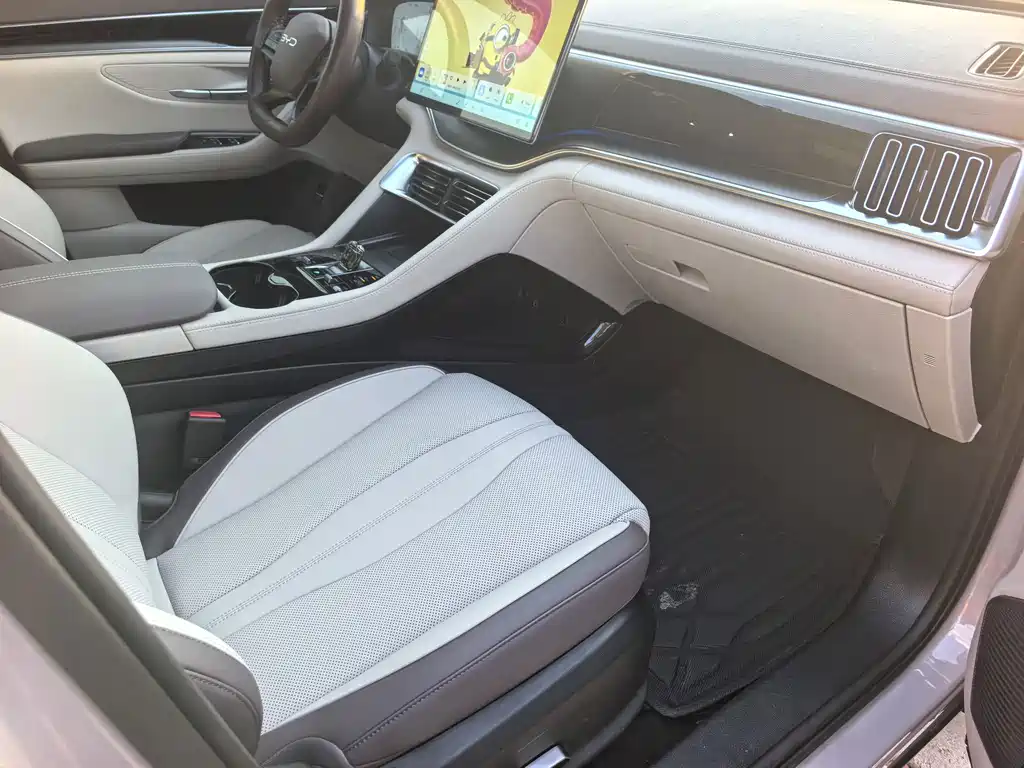 BYD PLUS New Energy — миниатюра 10