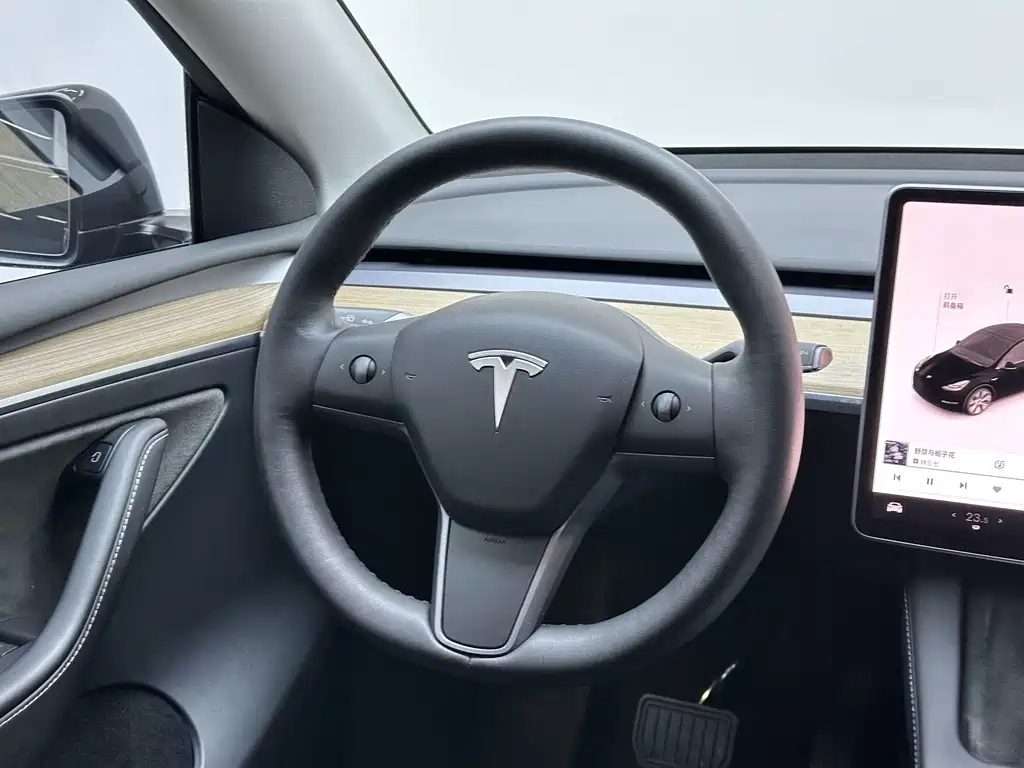 Tesla Model Y — миниатюра 17
