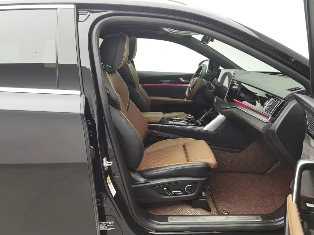 BYD Tang New Energy — миниатюра 23