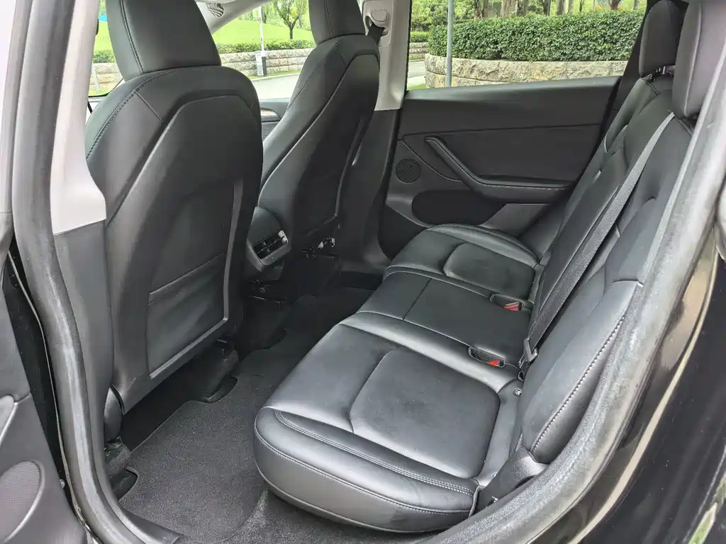 Tesla Model Y — миниатюра 5
