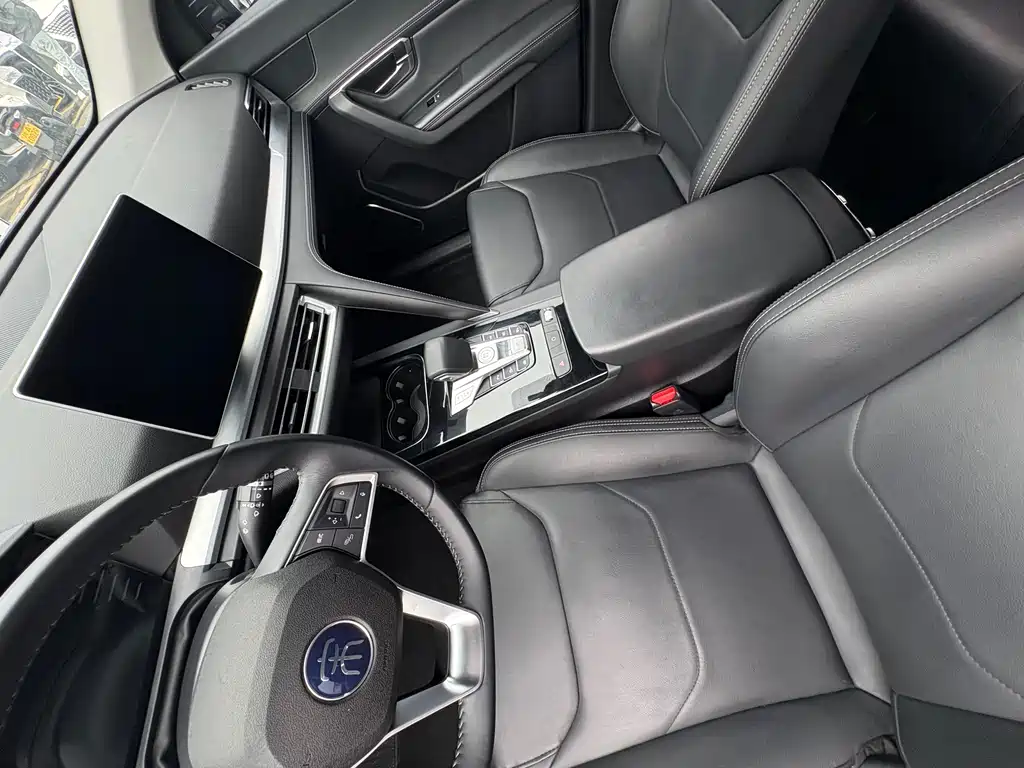 BYD Pro — миниатюра 7