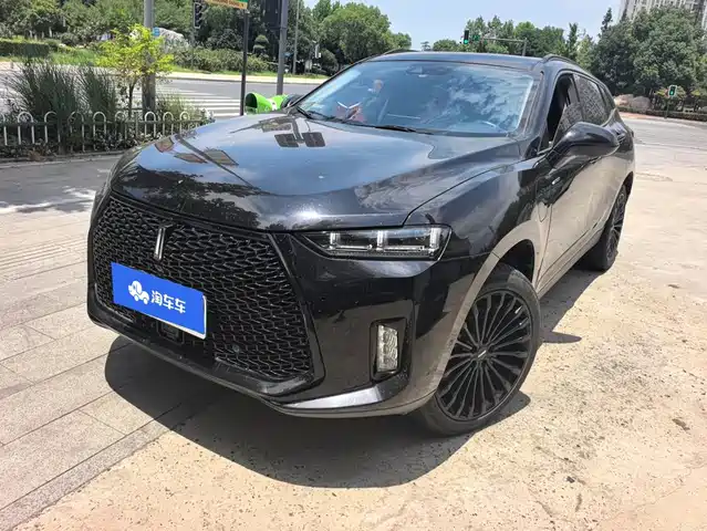 2018 Wey P8