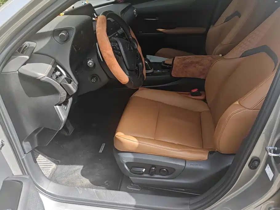Lexus UX 2020 300e