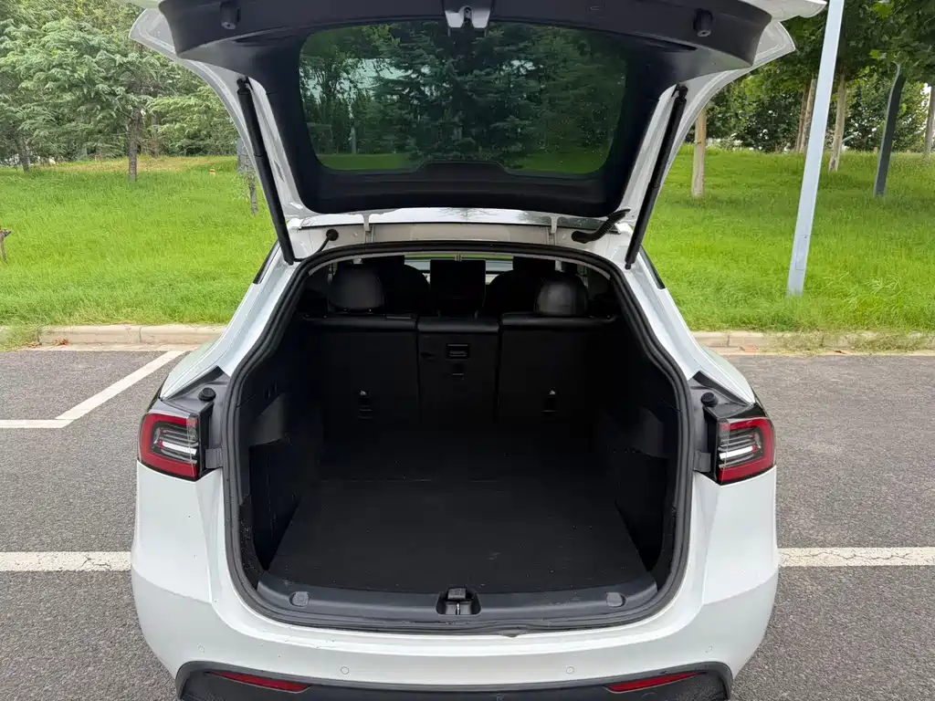Tesla Model Y — миниатюра 13