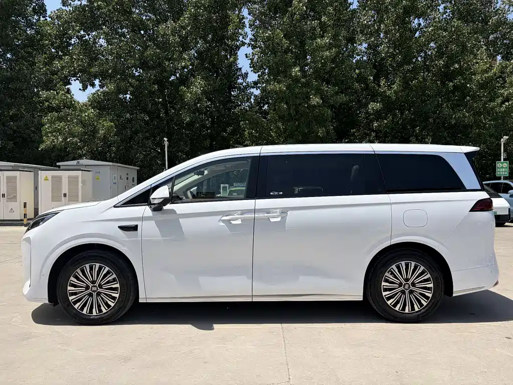 BYD Xia 2025 DM-i 1.5T 100km Lead
