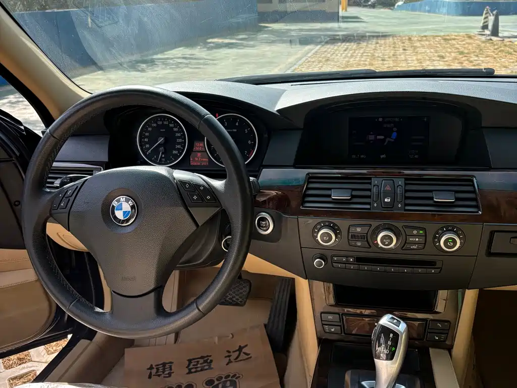 BMW 5 Series 5 2009 523Li Lead