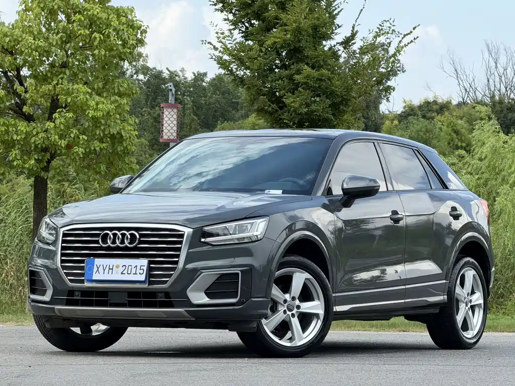 Audi Q2L