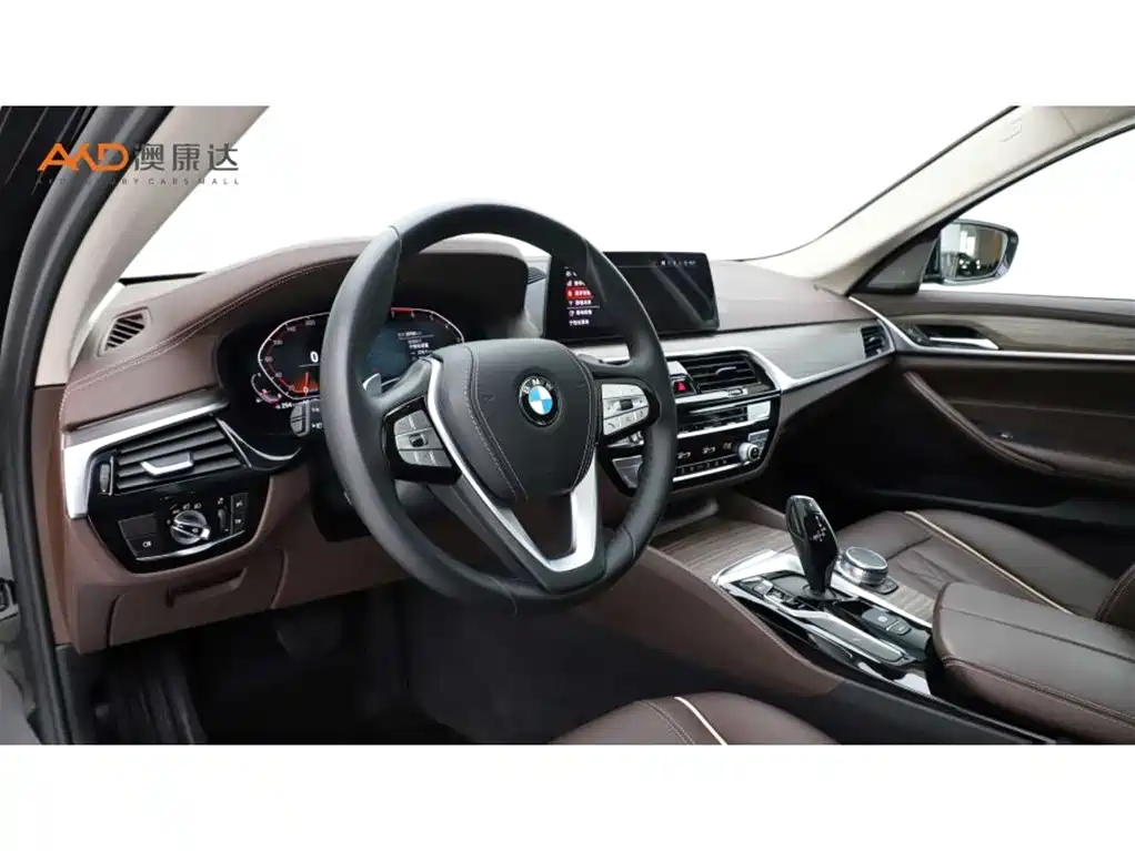 BMW 5 SERIES