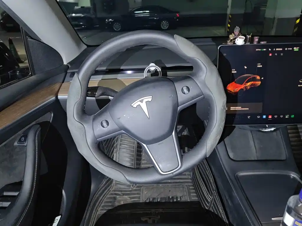 Tesla Model Y — миниатюра 11