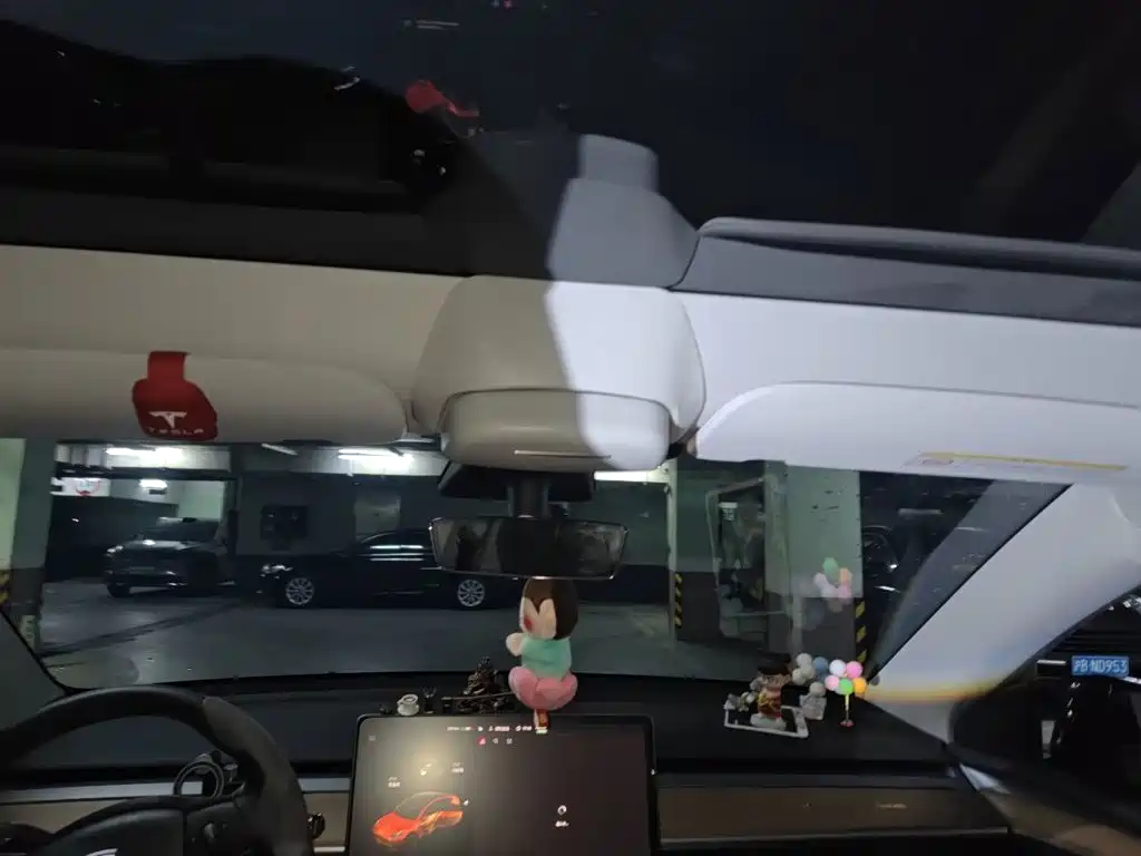 Tesla Model Y — миниатюра 19