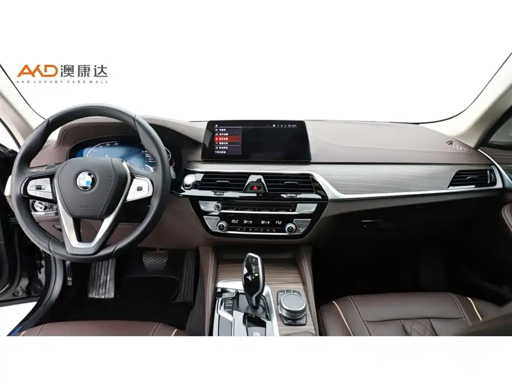 BMW 5 SERIES