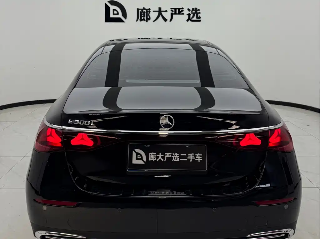 Mercedes-Benz E-Class E 2025 E 300 L Luxury