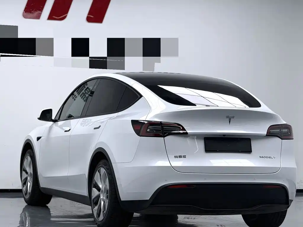 Tesla Model Y — миниатюра 8