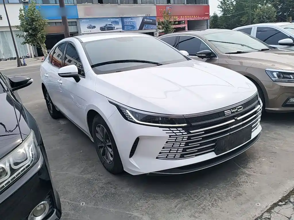 BYD Destroyer 05 2024 DM-i 55KM Luxury