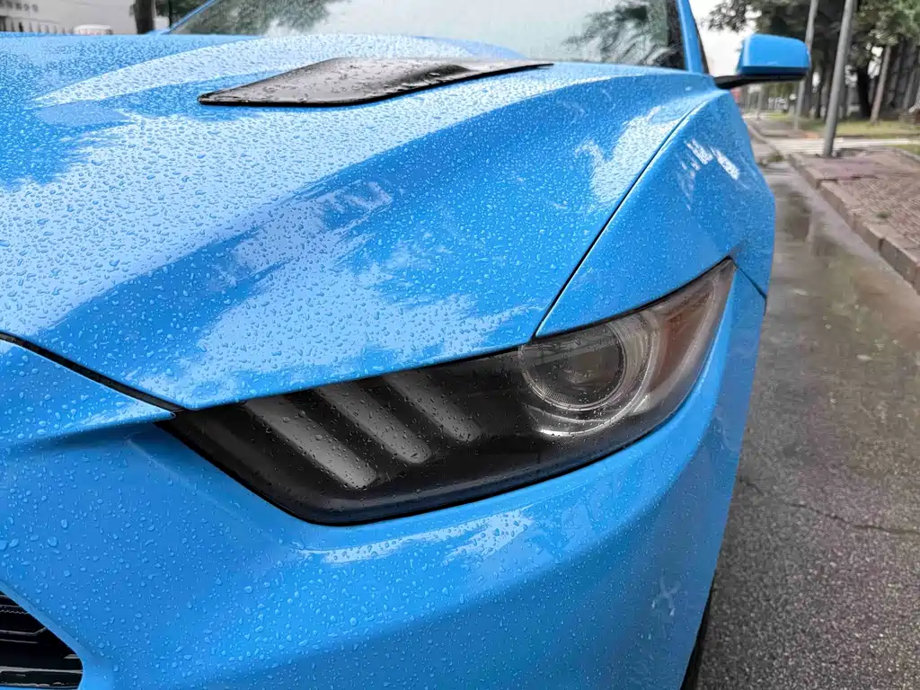 Ford Mustang — миниатюра 16