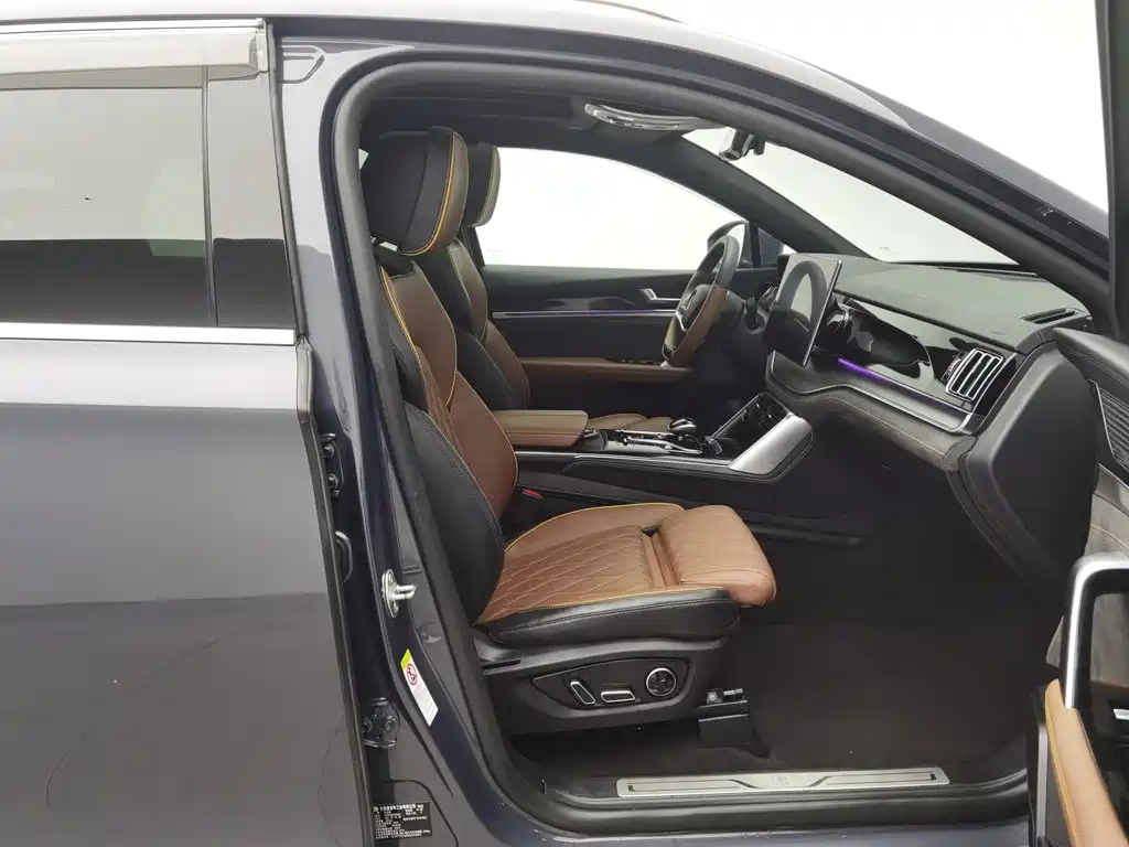 BYD Tang New Energy — миниатюра 23