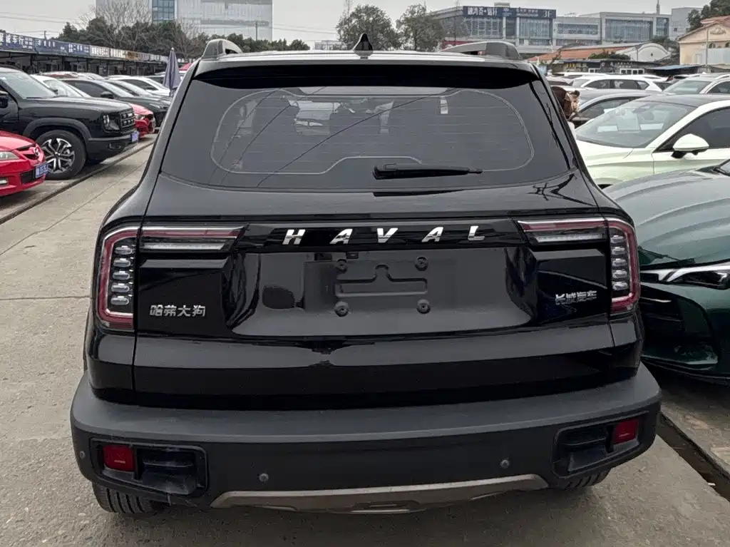 HAVAL BIG DOG