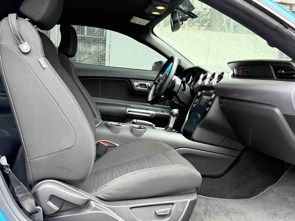 Ford Mustang — миниатюра 11