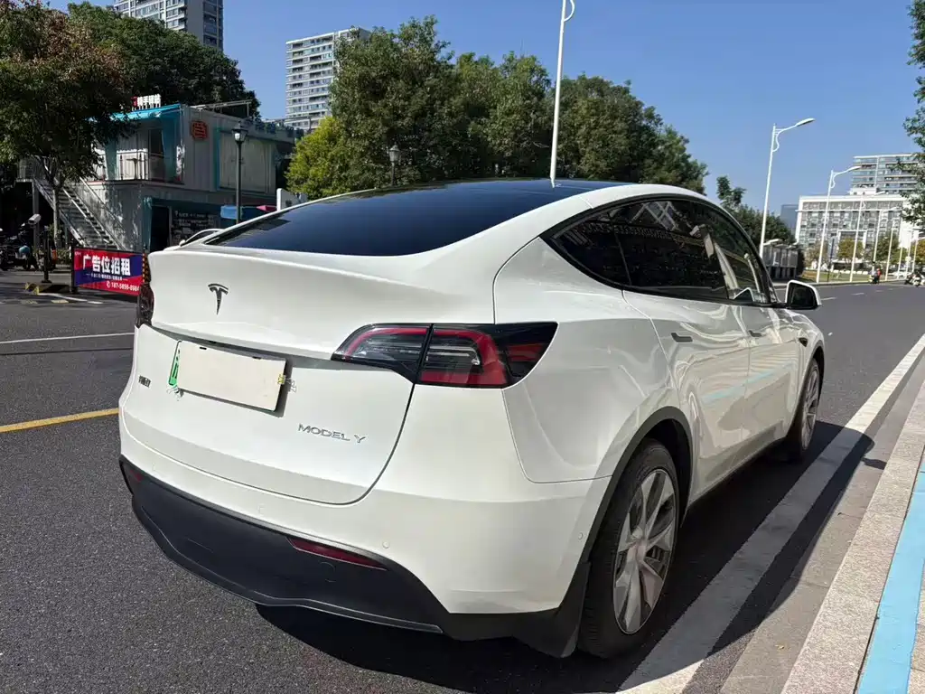 Tesla Model Y — миниатюра 6