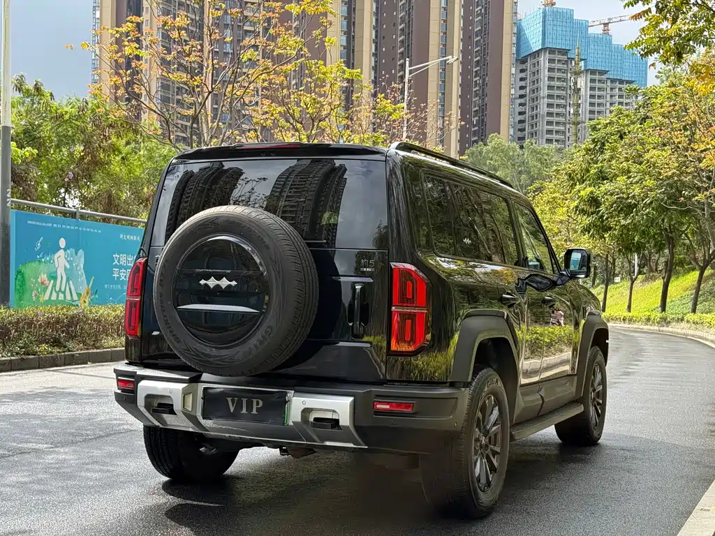 FANG CHENG BAO LEOPARD 5