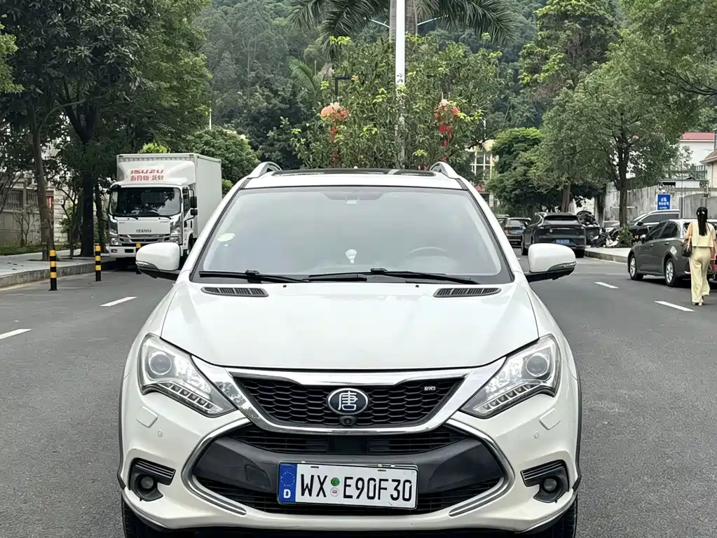 BYD Tang New Energy — миниатюра 2