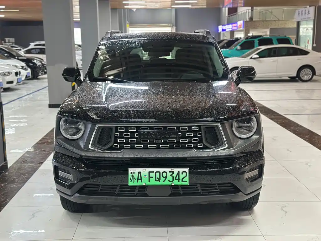 HAVAL SECOND GENERATION BIG DOG NEW ENERGY