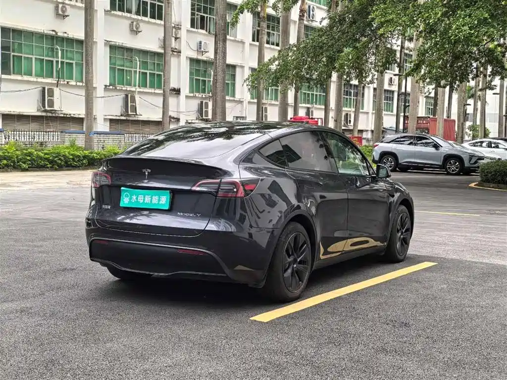 Tesla Model Y — миниатюра 11