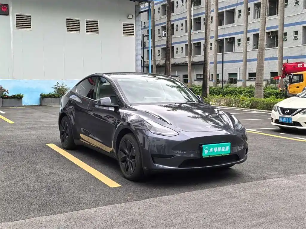 Tesla Model Y — миниатюра 10