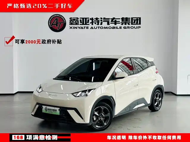 BYD Seagull