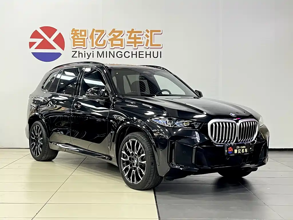 BMW X5 — миниатюра 13