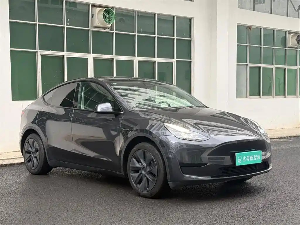 Tesla Model Y — миниатюра 10