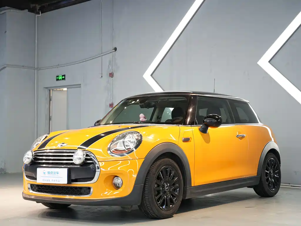 Mini Mini 2017
