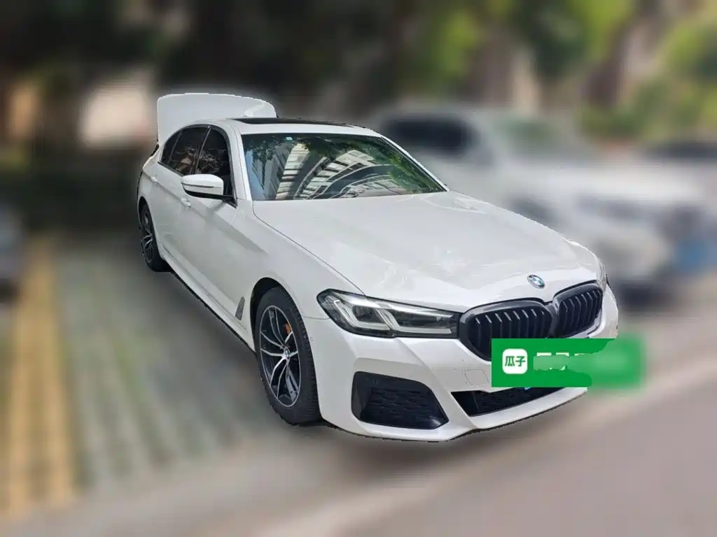 BMW 5 Series — миниатюра 24