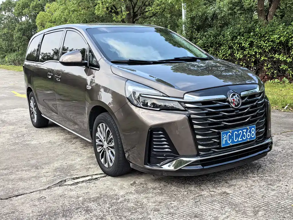Buick GL8 — миниатюра 3