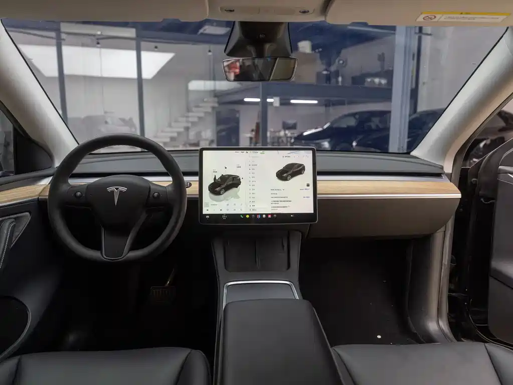 Tesla Model Y — миниатюра 12