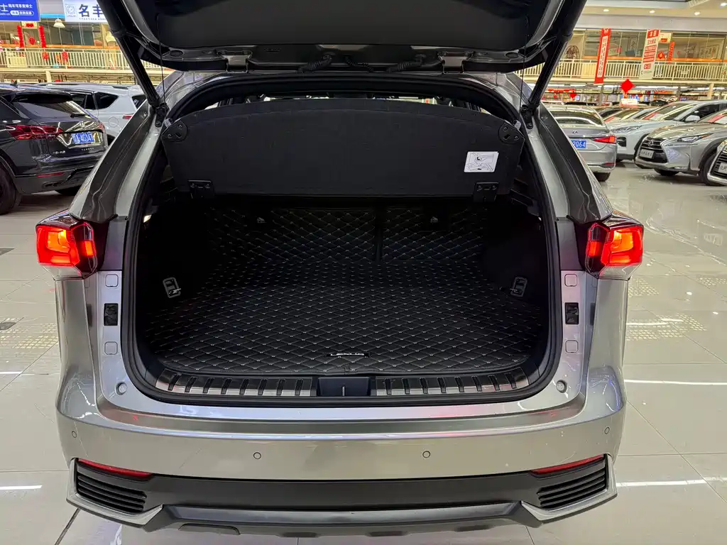 Lexus NX 2020 300h VI