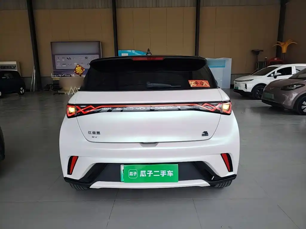 BYD Dolphin — миниатюра 6