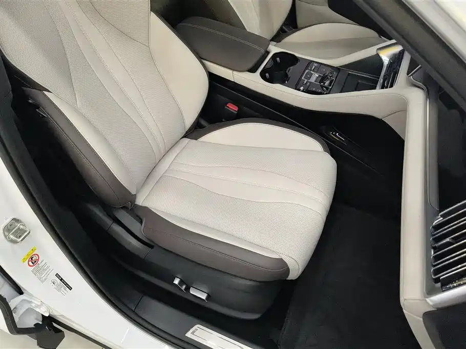 BYD SONGJIANG NEW ENERGY