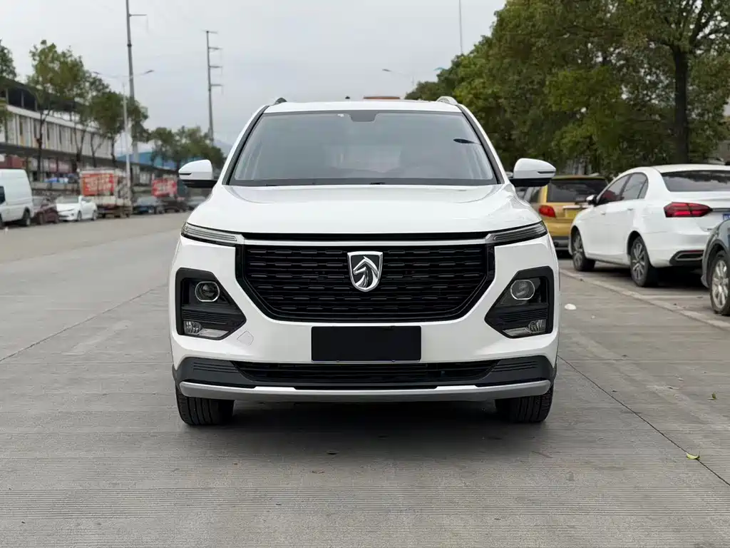 BAOJUN 530