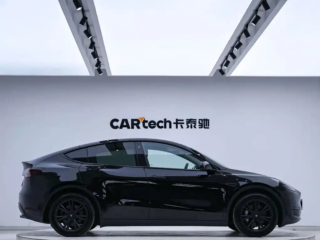 Tesla Model Y — миниатюра 2