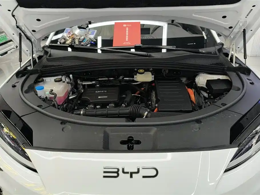 BYD SONGJIANG NEW ENERGY